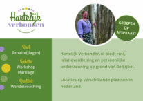 Advertentie voor zomerboek 'elke dag nieuw'