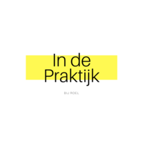 In de Praktijk