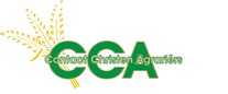 Logo CCA nieuw