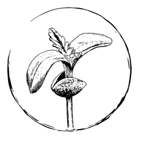 Logo kiem in ring witte achtergrond